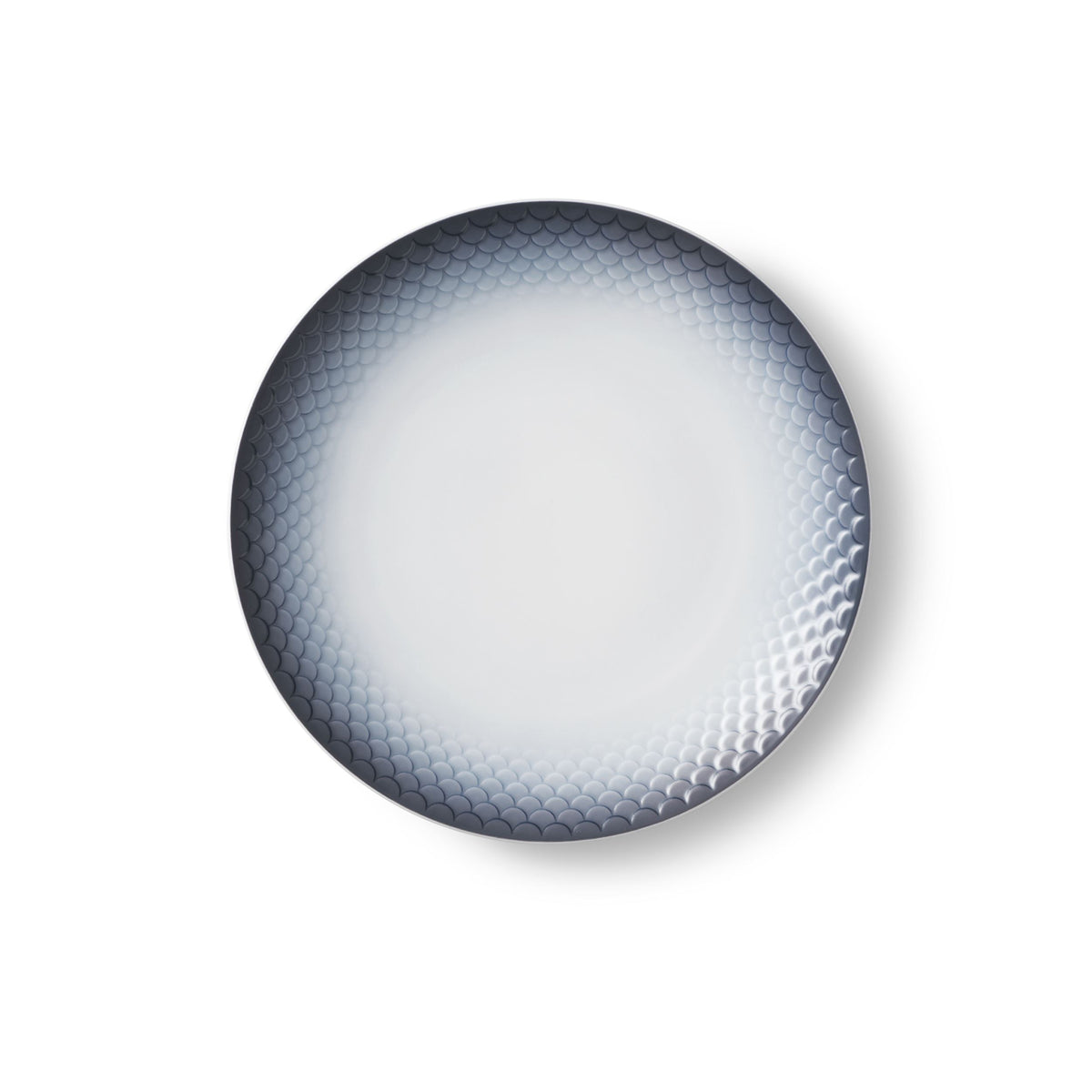 HAV Plate, 22 cm