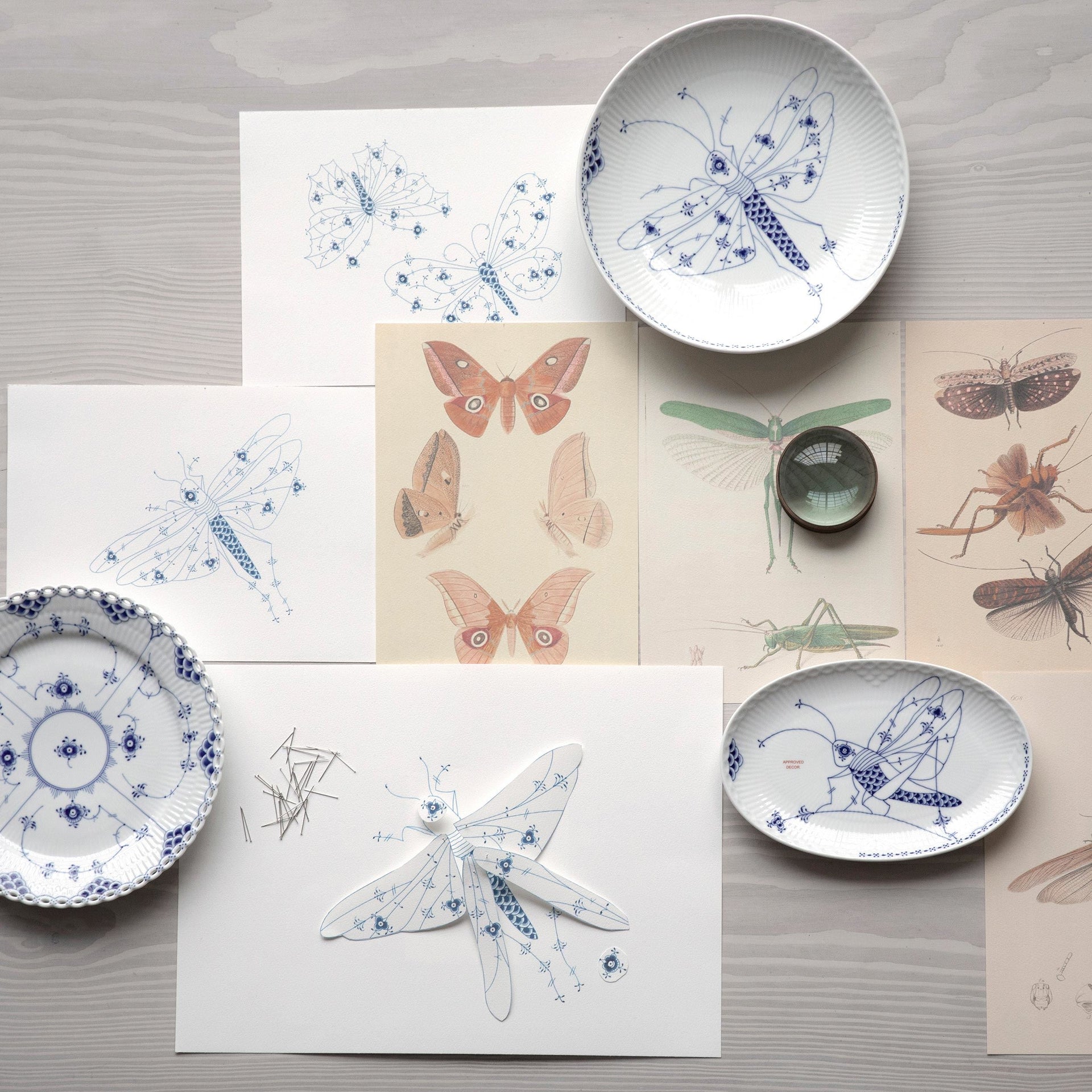 Royal Creatures Assiette, Grasshopper, 23.5 cm