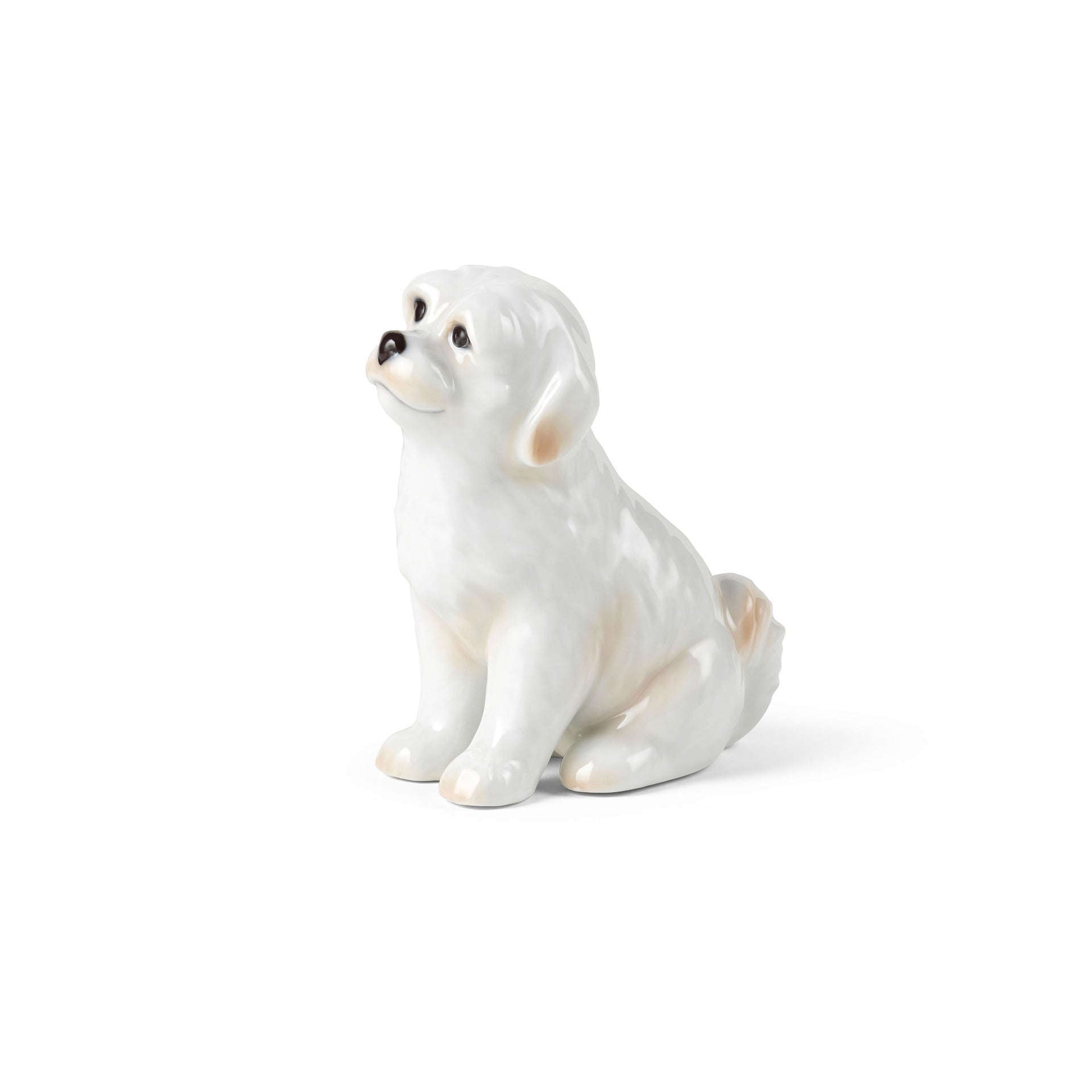 Blue Collectibles Christmas Plate Figurine 2024, Dog, 10.5 cm - Christmas Plate Figurine 2024, Dog, 10.5 cm