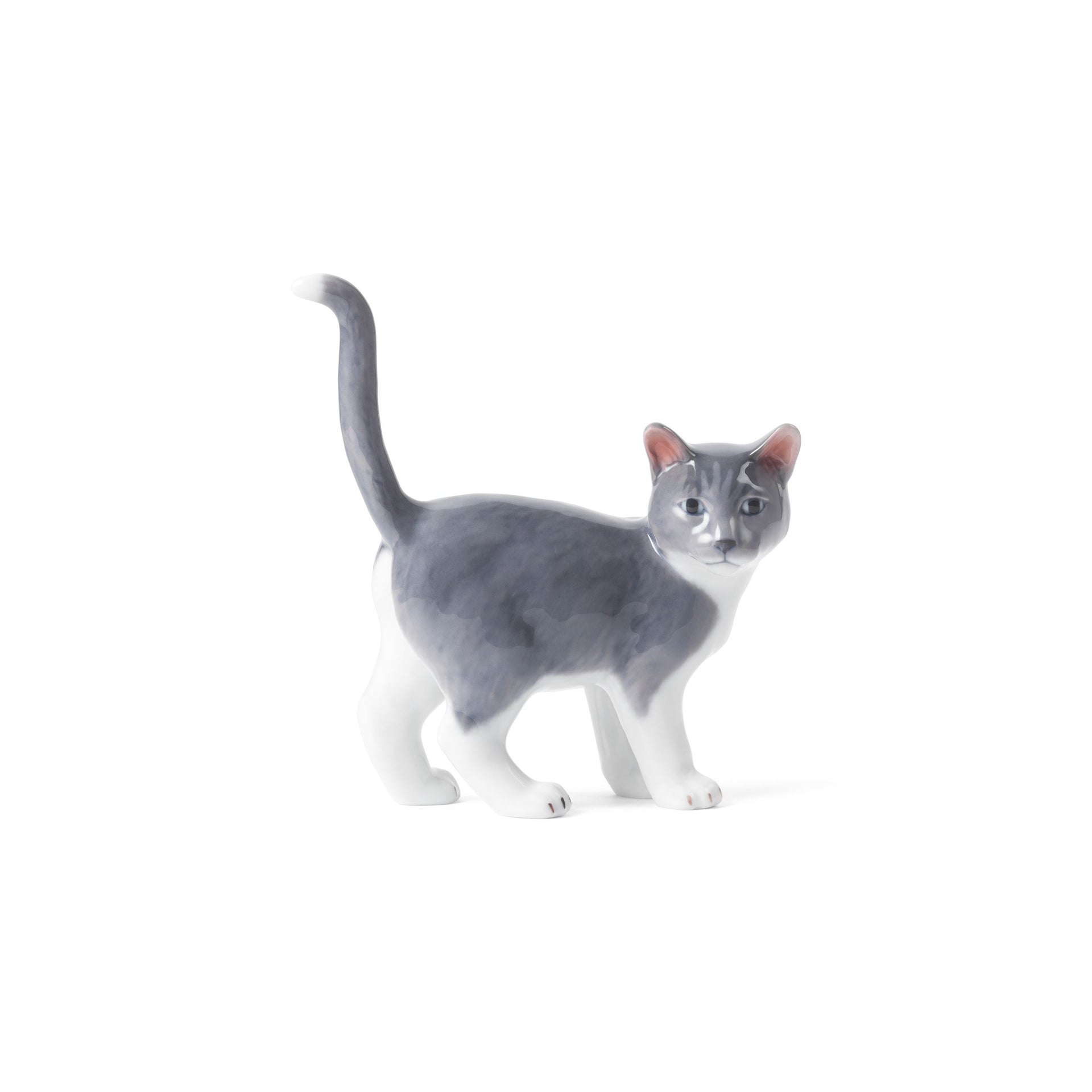 Blue Collectibles Christmas Plate Figurine 2026, Cat, 15.5 cm