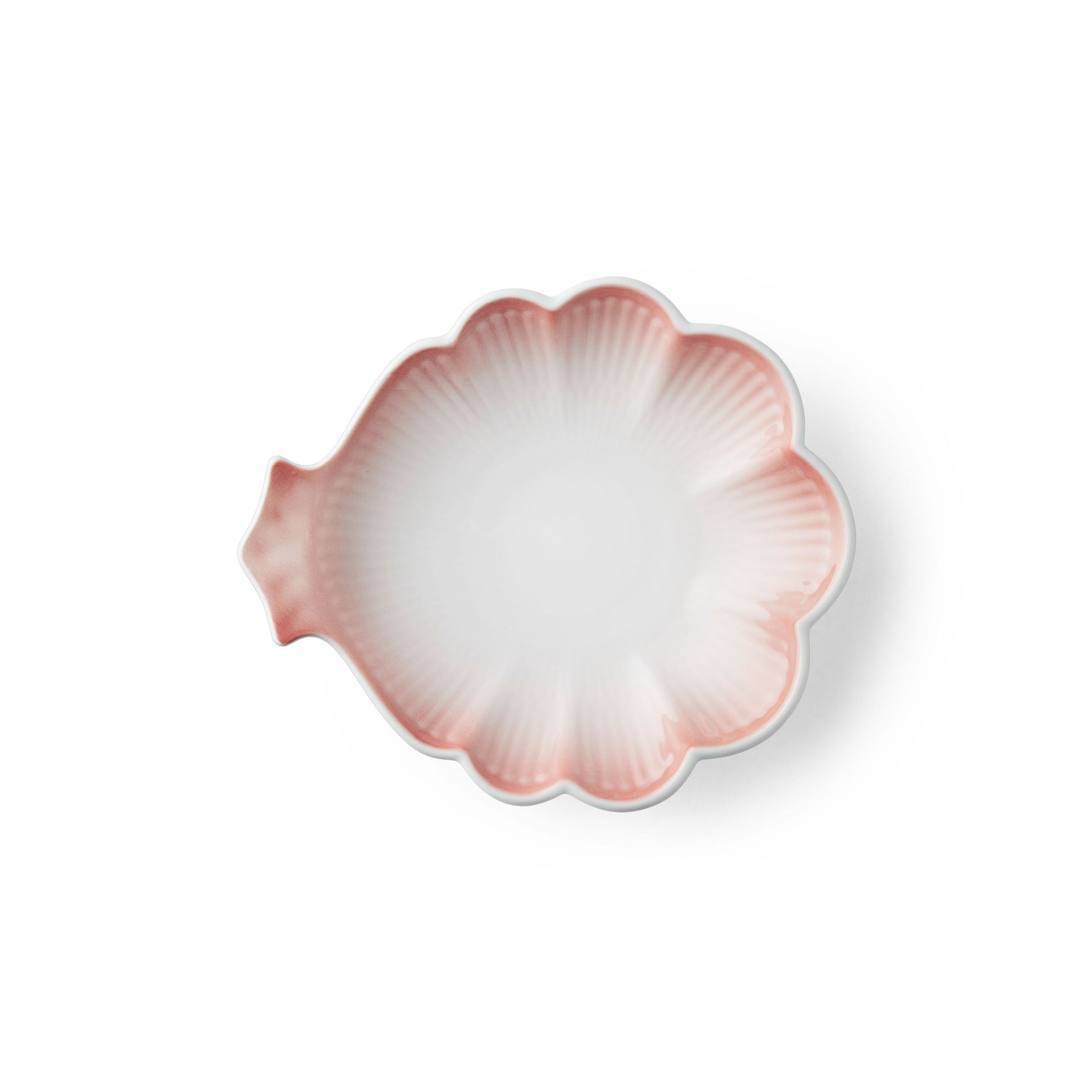 Iris Curl Dish, Coral, 16 cm