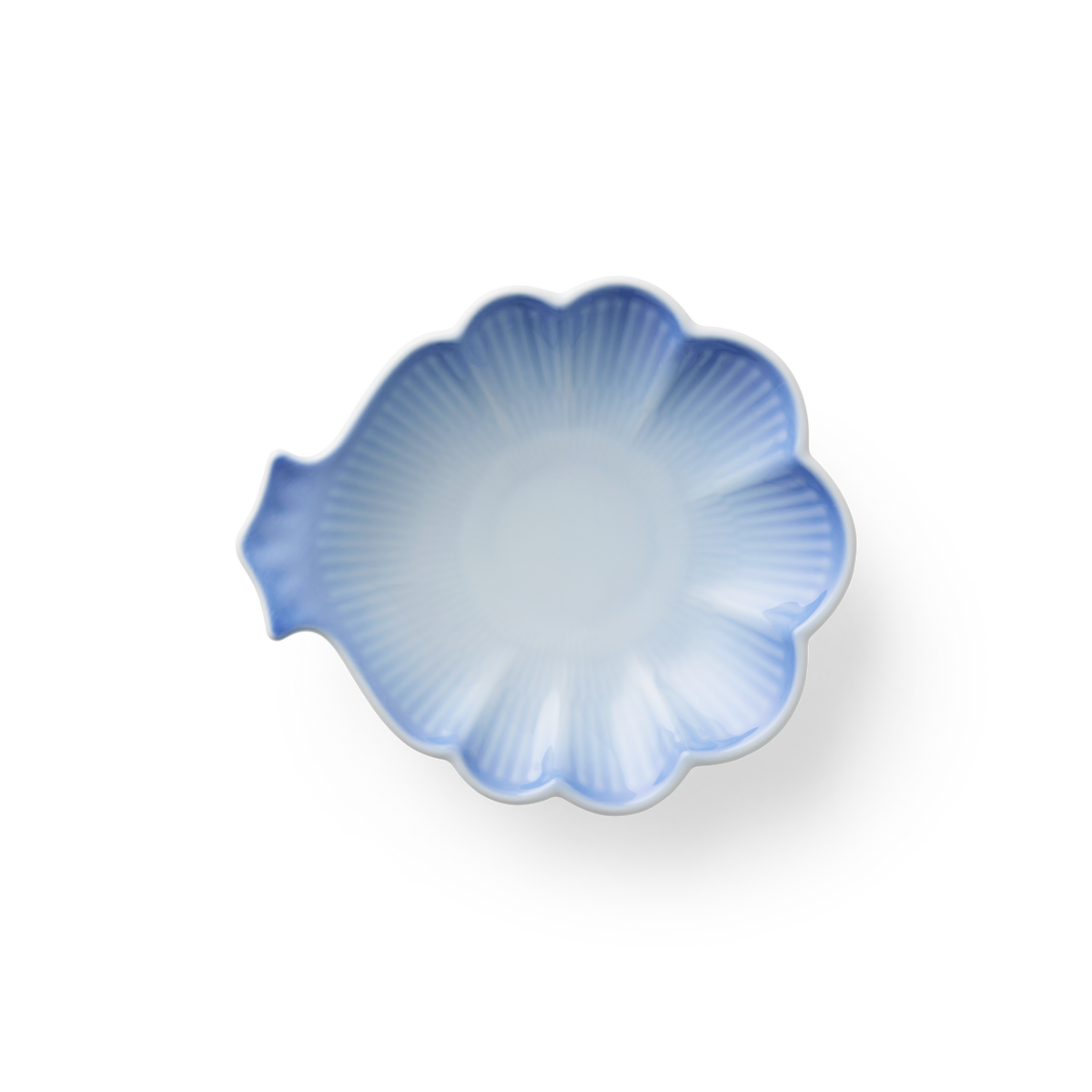 Blue Iris Curl Dish