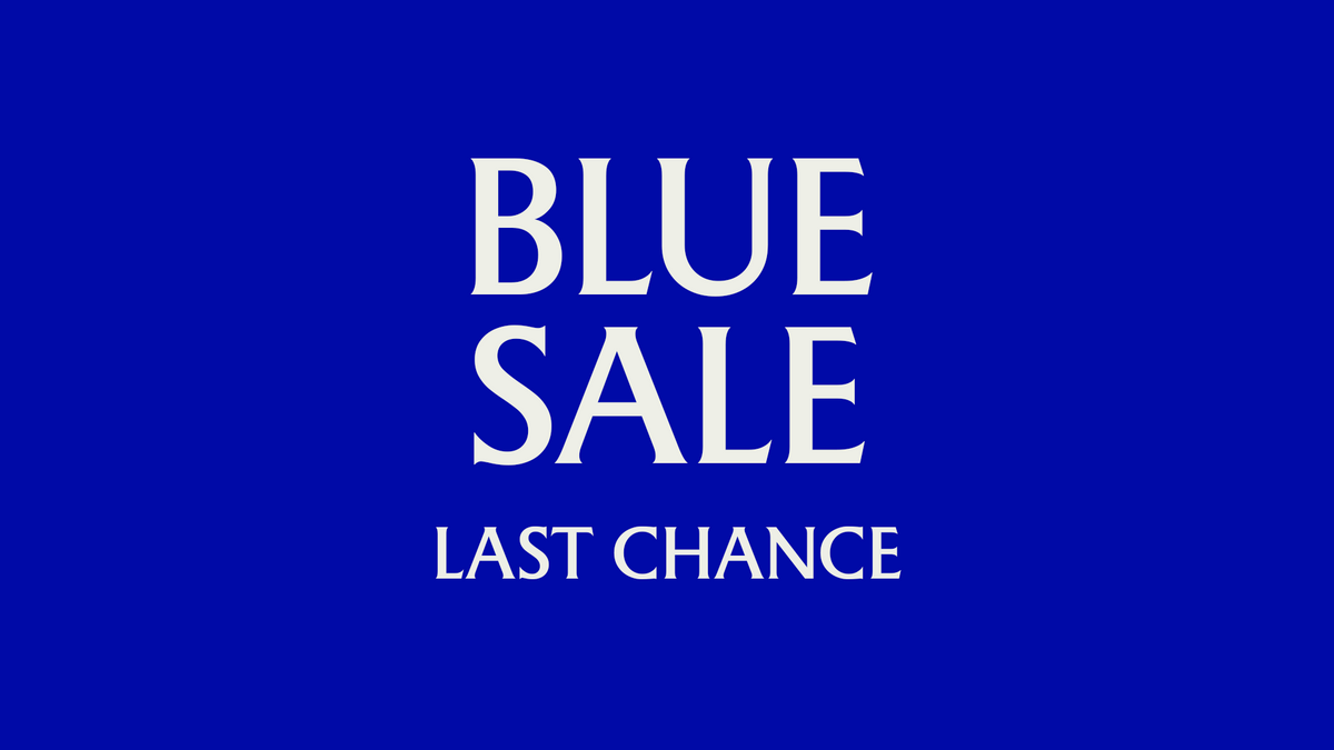 Blue Sale Promotion banner last chance