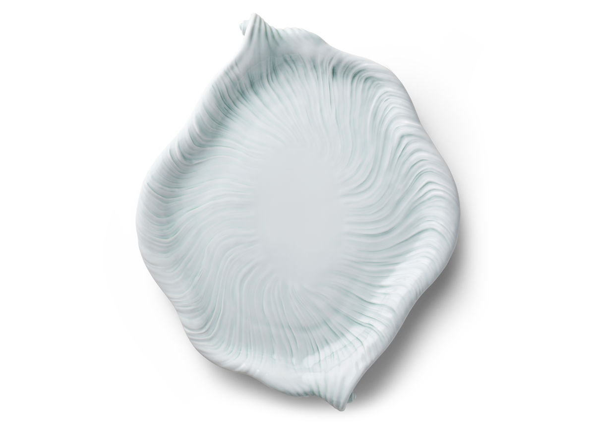 Triton dish