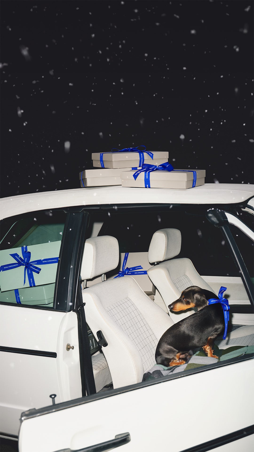 A black and tan dachshund dog rests inside an open white car with cream seats, wrapped gift boxes tied with bright blue ribbons on the roof and in the window, under a dark snowy night sky.